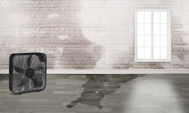 Trusted CO Water damage restoration Experts