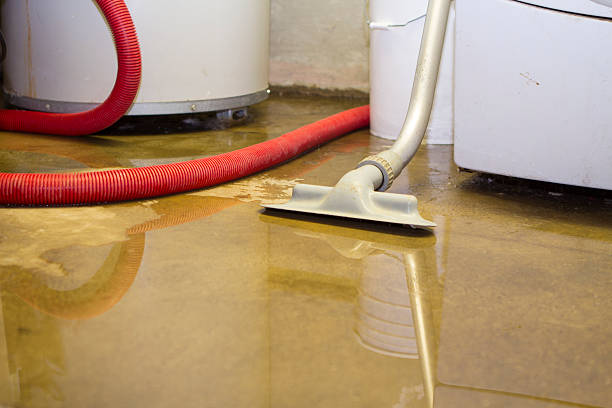 Best Emergency water damage restoration  in Sherrelwood, CO