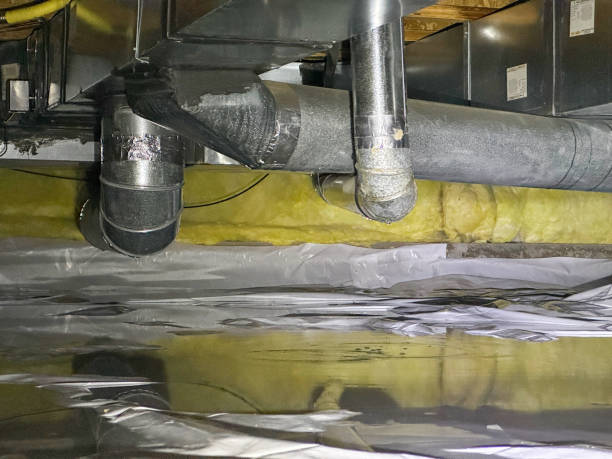 Best Fire Damage Restoration  in Sherrelwood, CO