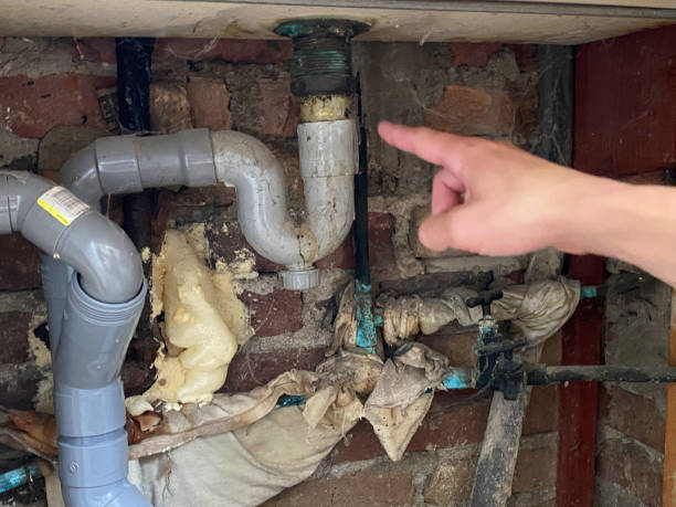 Best Fire Damage Restoration  in Sherrelwood, CO